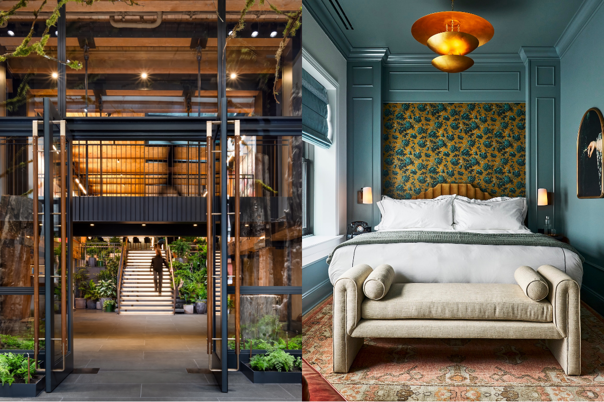 The Consultancy PR Adds Curioso to Its Client Roster